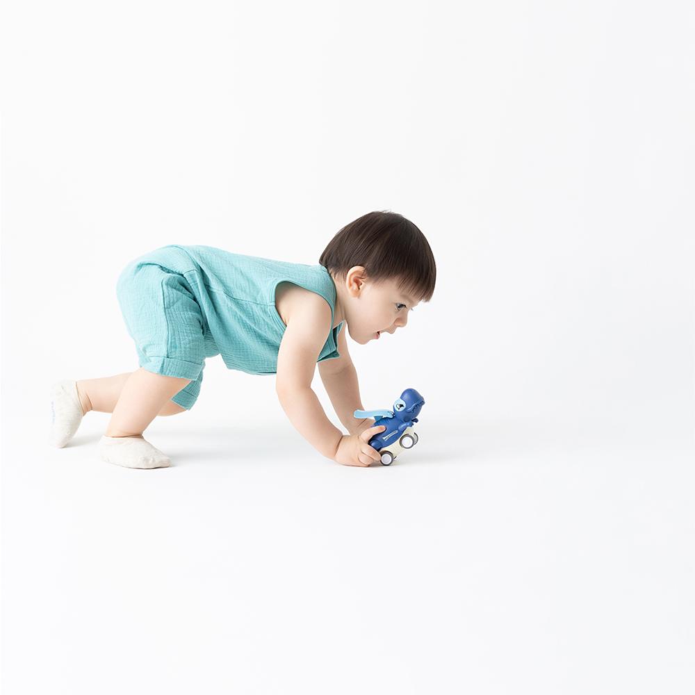 Carrinho De Fricção Dinossauro Infantil Pimpolho