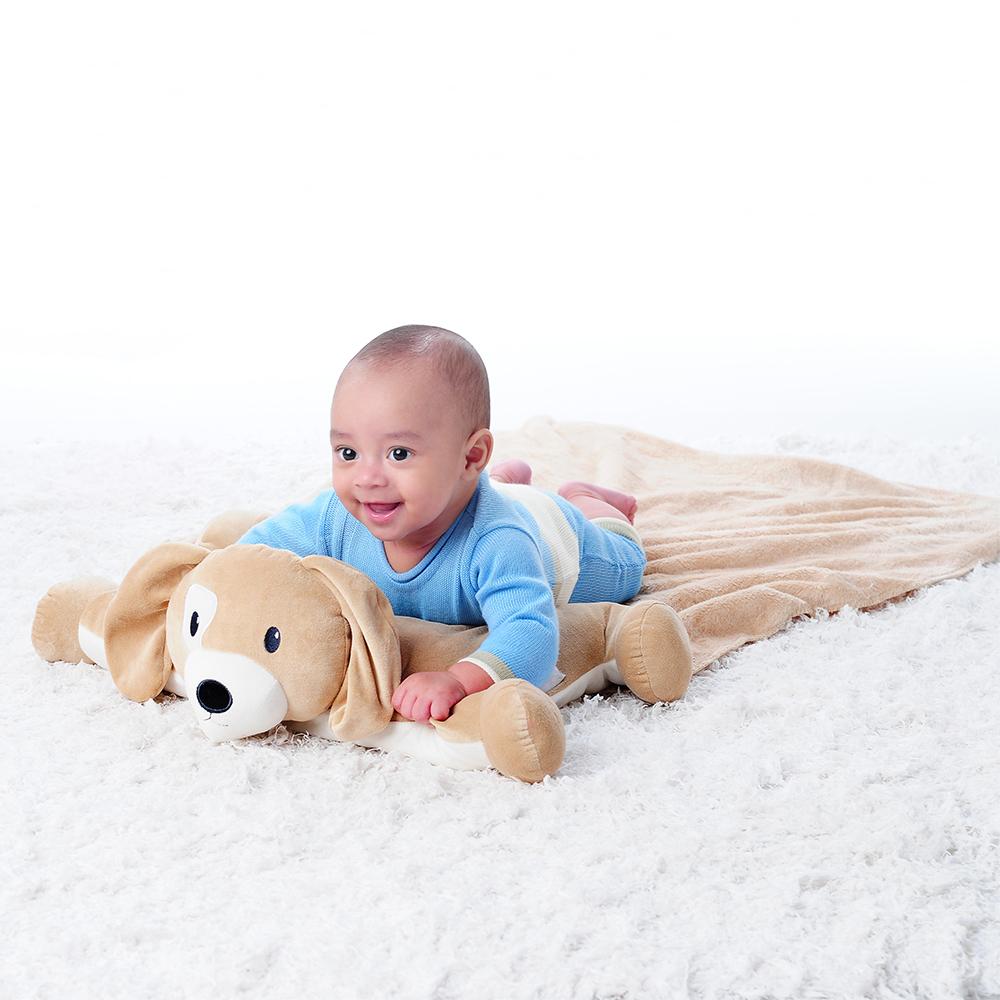 Travesseiro Com Manta Cachorro Masculino Pimpolho