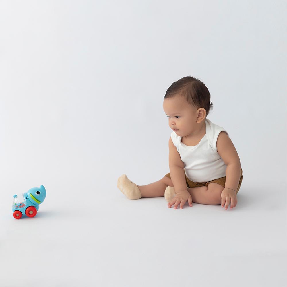 Chocalho Elefante Infantil Pimpolho Carrinho 0-24 meses
