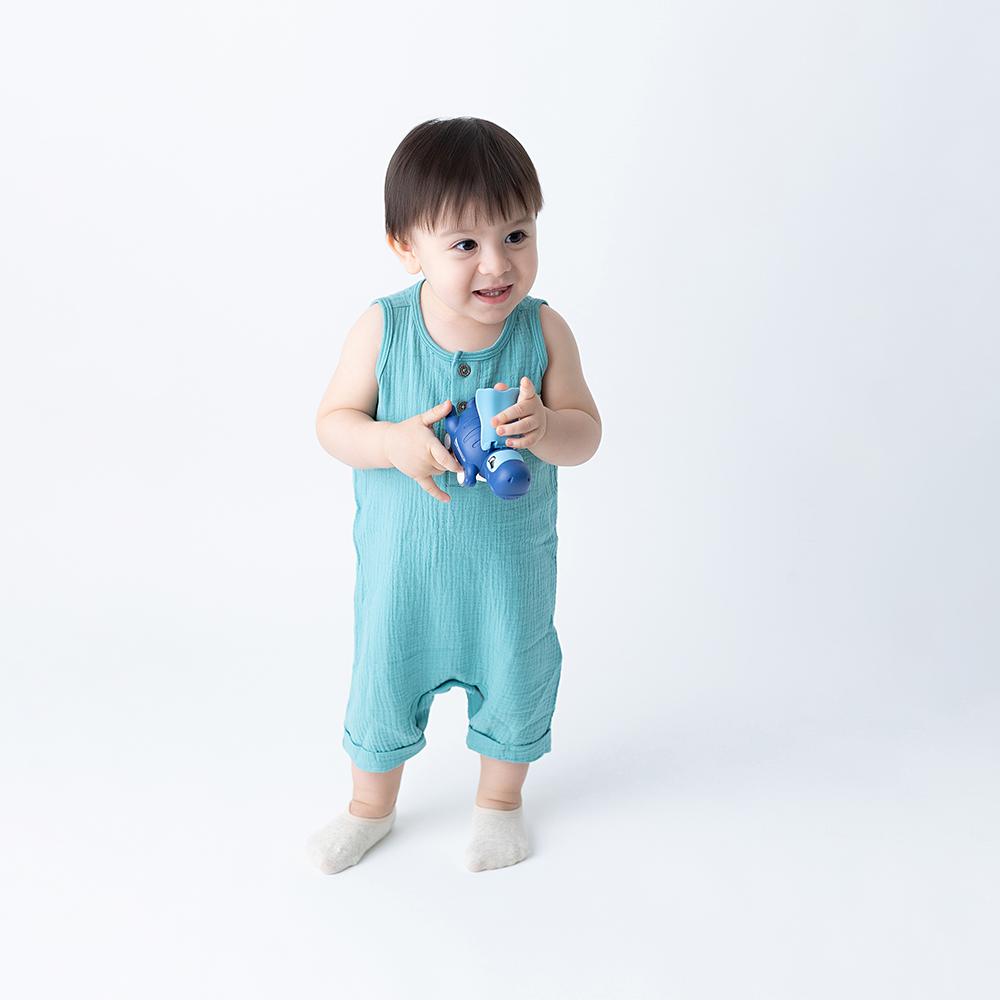 Carrinho De Fricção Dinossauro Infantil Pimpolho