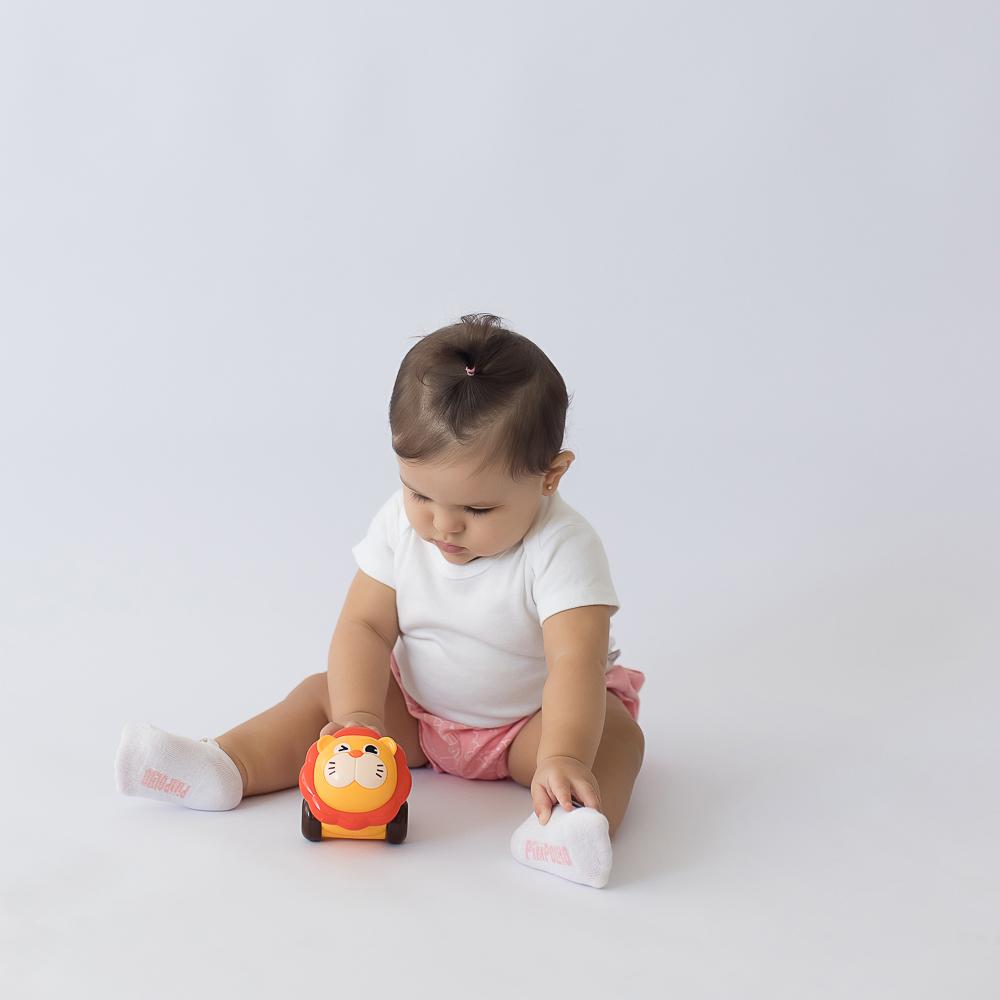 Chocalho Carrinho Pimpolho Infantil Leão 0-24 meses